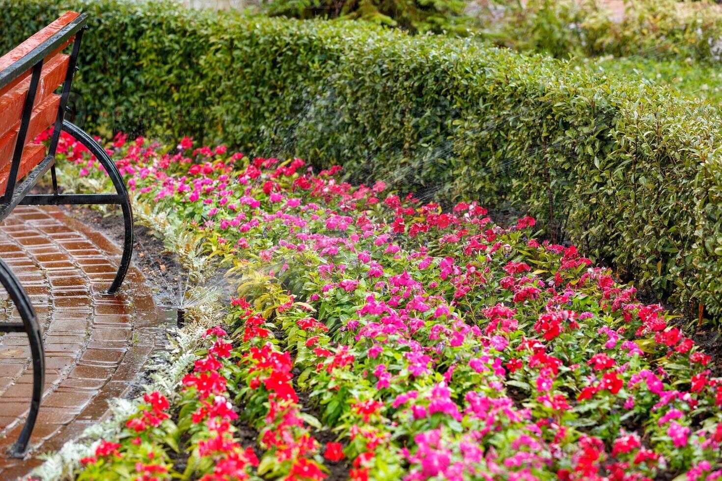 10 Best Flower Bed Irrigation System for 2024