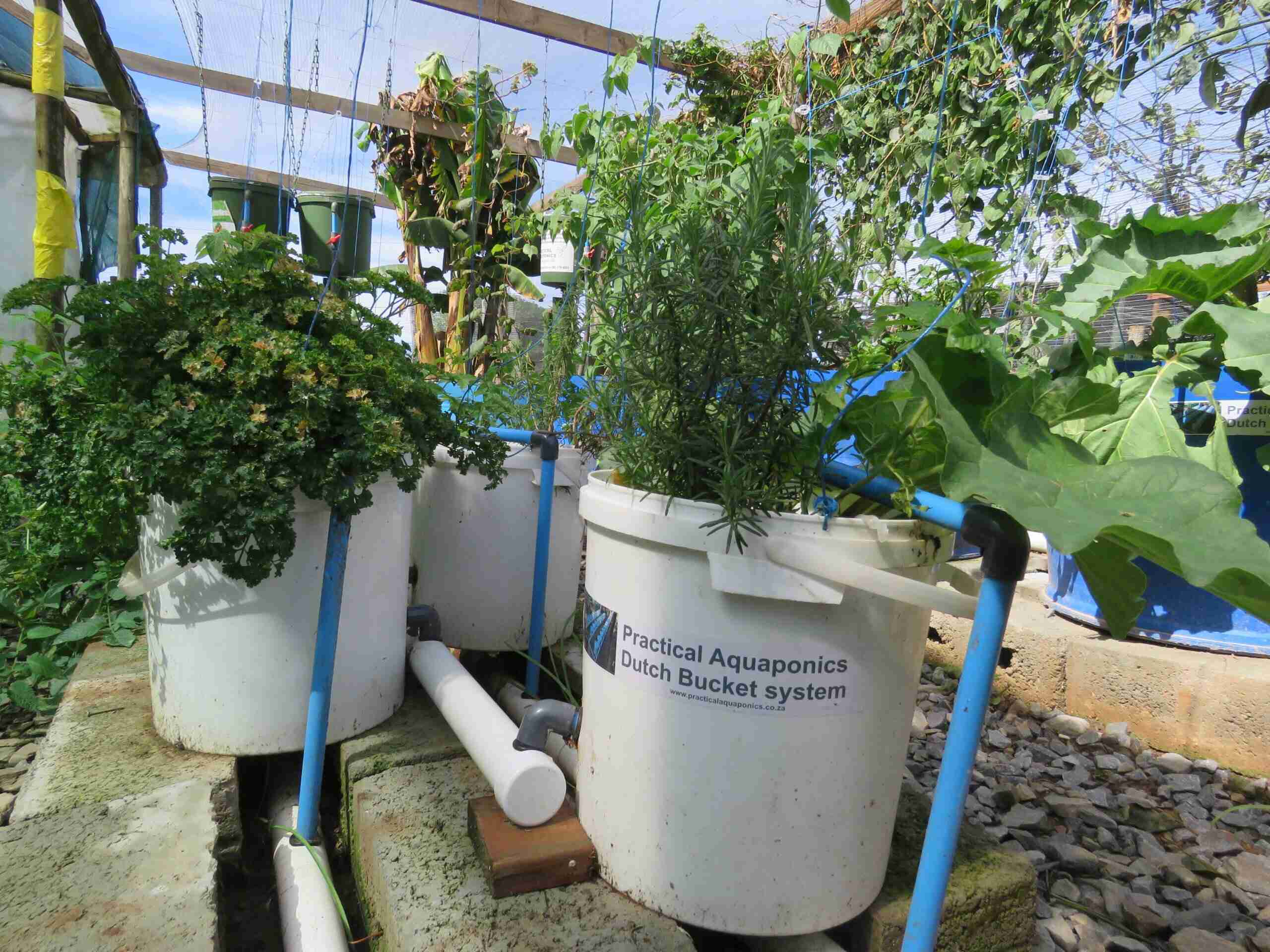 10 Unbelievable Gravity Irrigation Kit for 2024