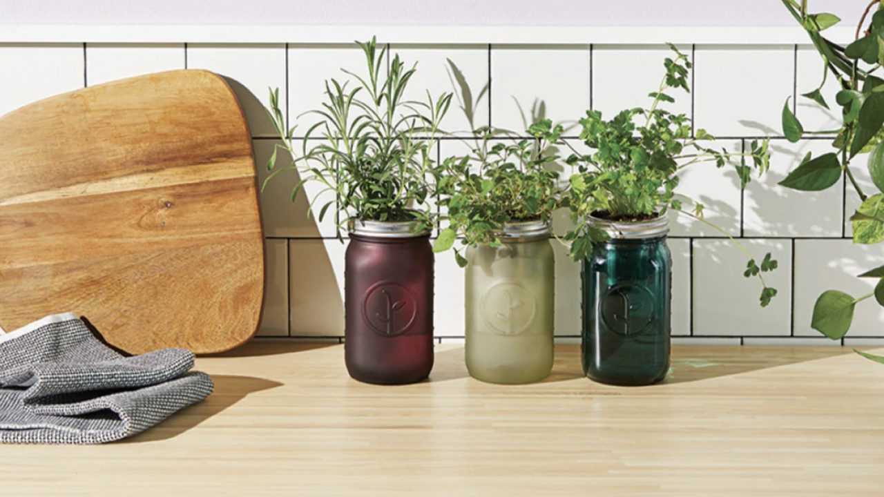 10 Unbelievable Mason Jar Indoor Herb Garden for 2024