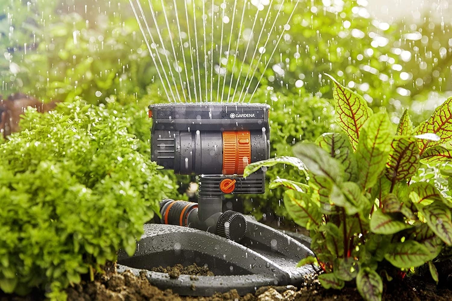 11 Amazing Spray Irrigation for 2024