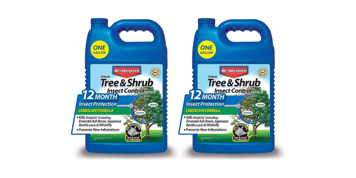 11 Best Bayer Tree And Shrub Insect Control for 2024