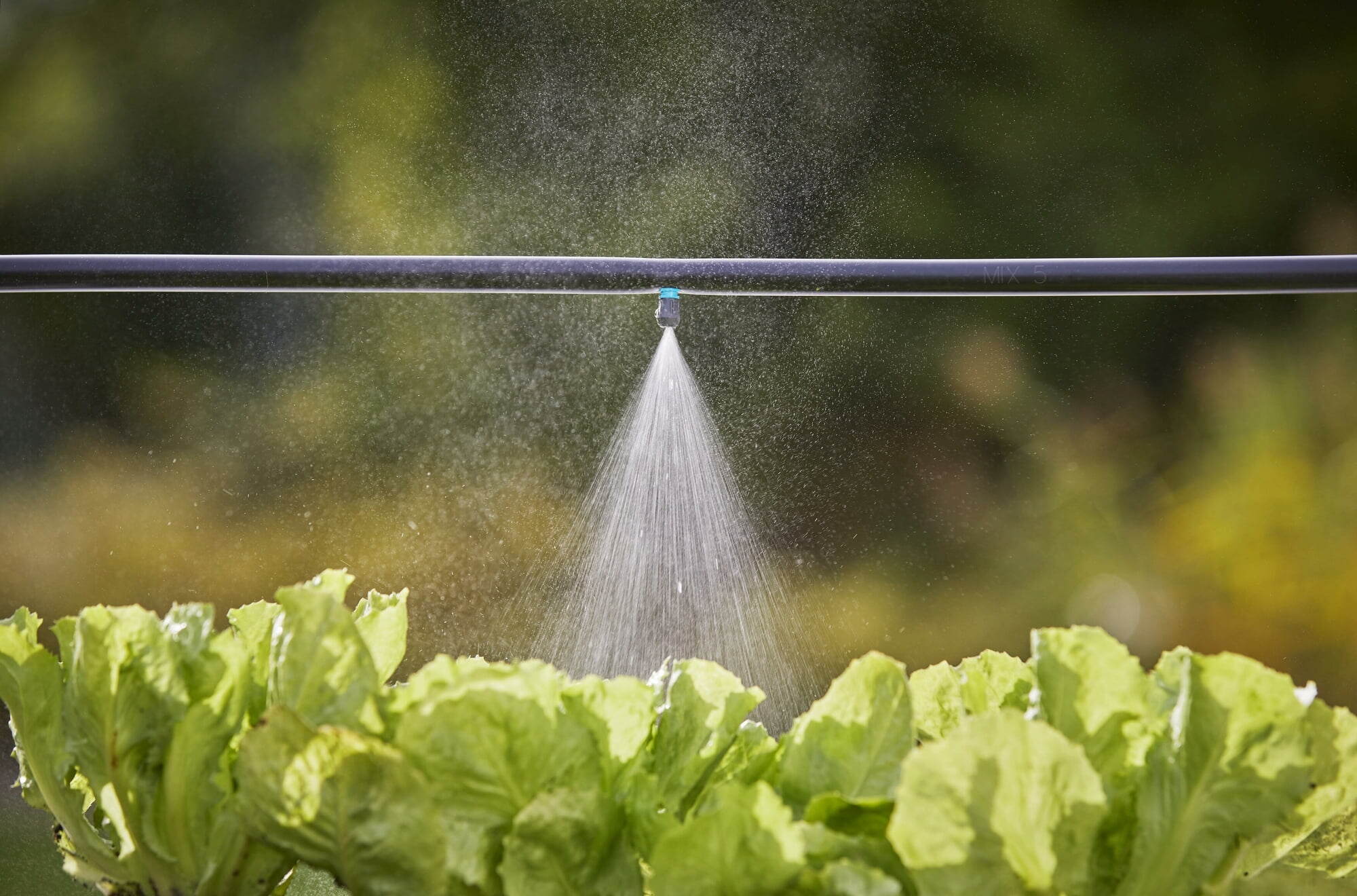 11 Incredible Drip Irrigation Mist for 2023
