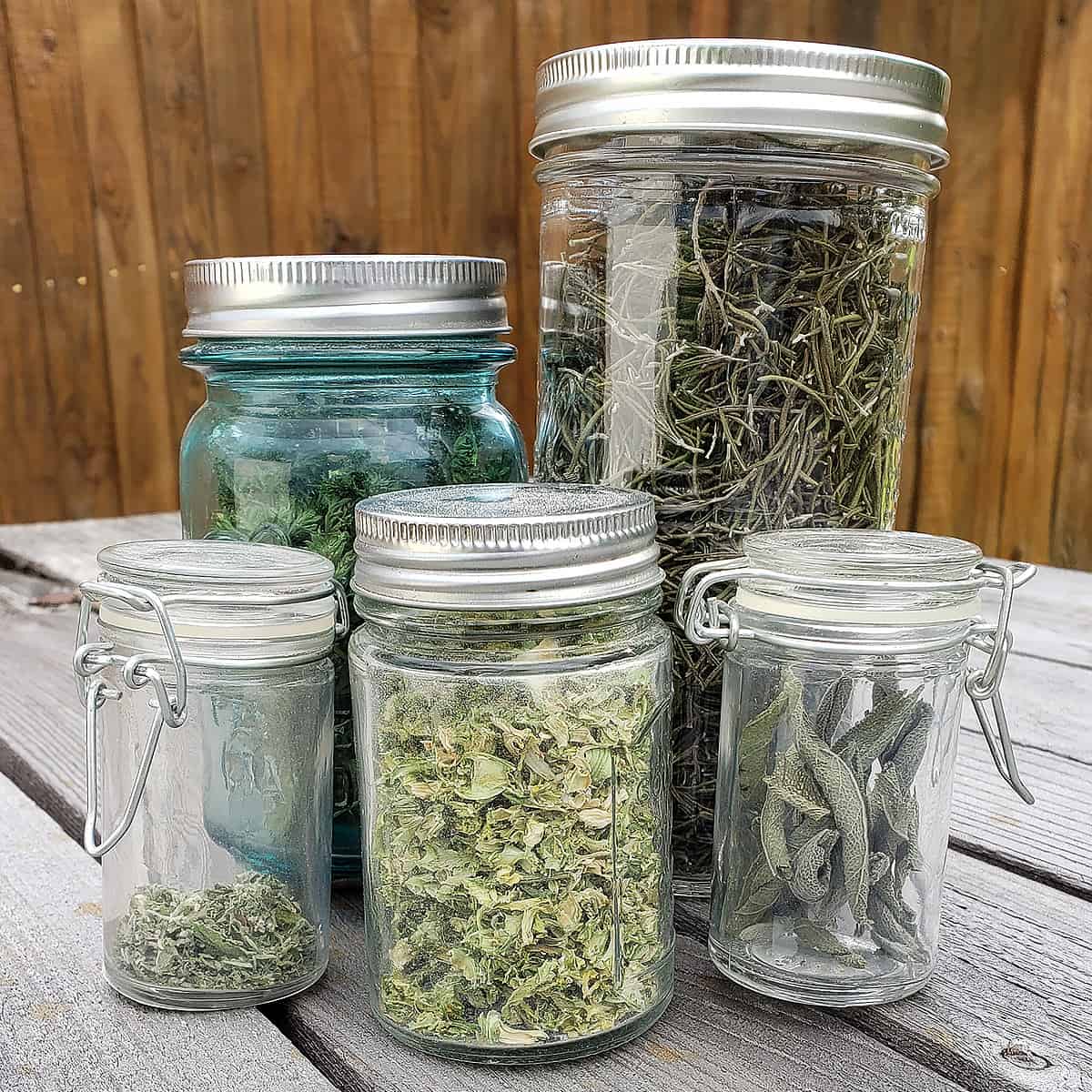 11 Incredible Herb Storage Jars for 2024