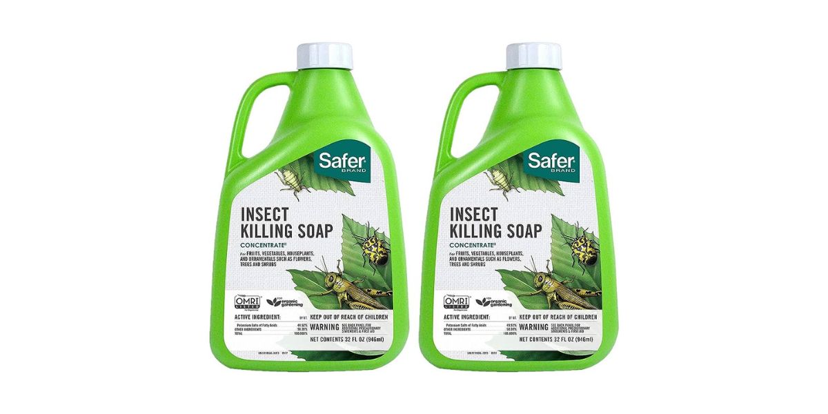 11 Superior Safer Insect Killing Soap for 2024
