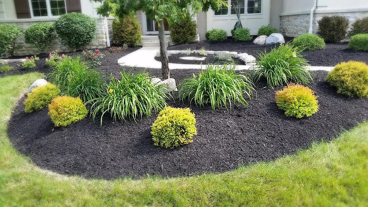 11 Unbelievable Mulch For Landscaping for 2024