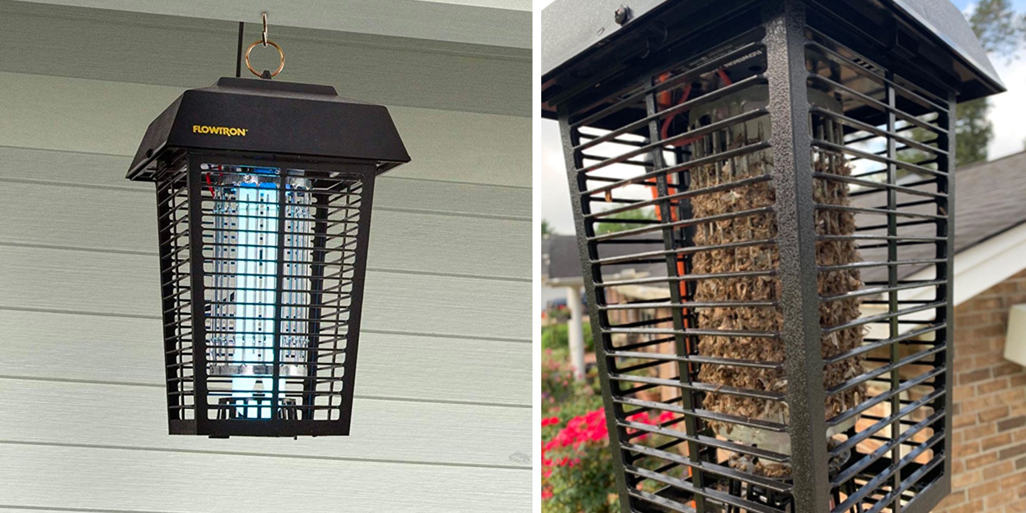 12 Amazing Outdoor Insect Zapper for 2024