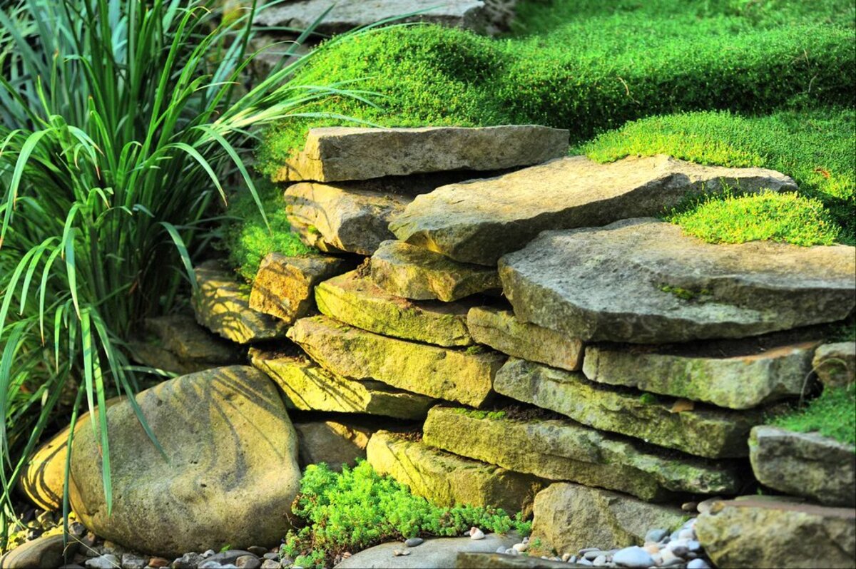 12 Amazing Rock Covers For Landscaping for 2024