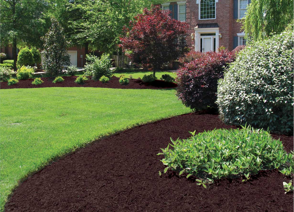 12 Best Cedar Mulch For Landscaping for 2024