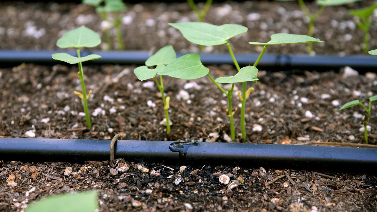 12 Incredible Drip Irrigation Emitters for 2024