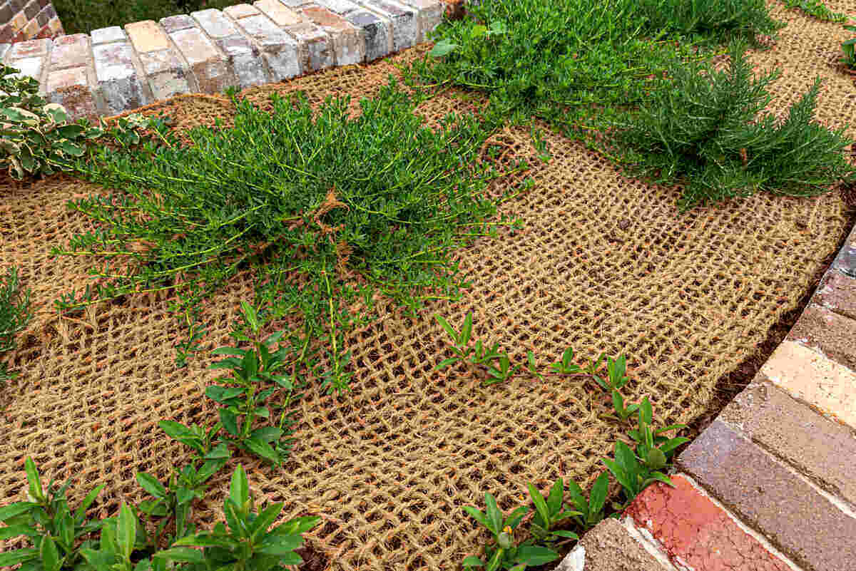 13 Amazing Ground Cloth Landscaping for 2024