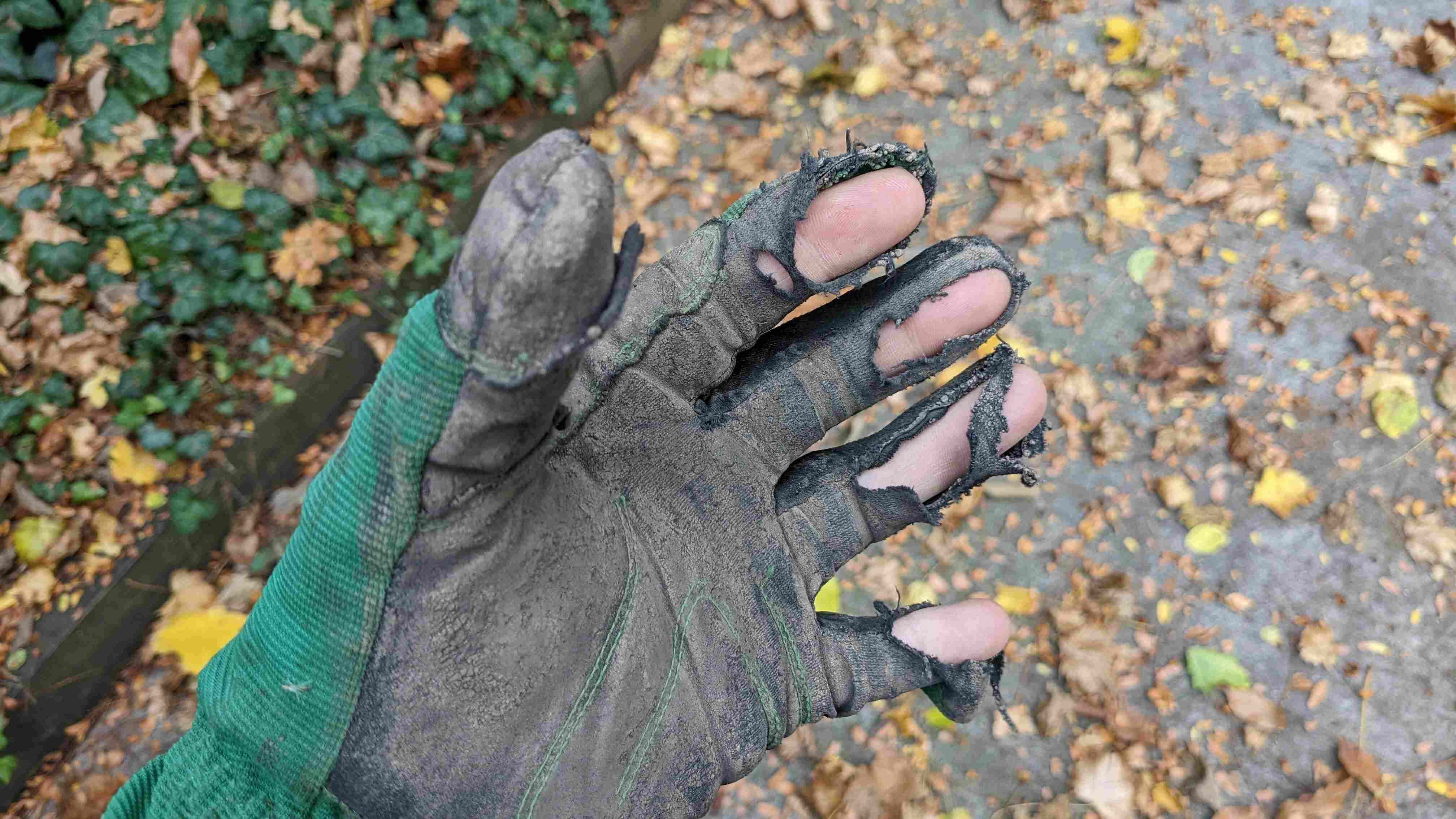 13 Amazing Landscaping Gloves for 2024