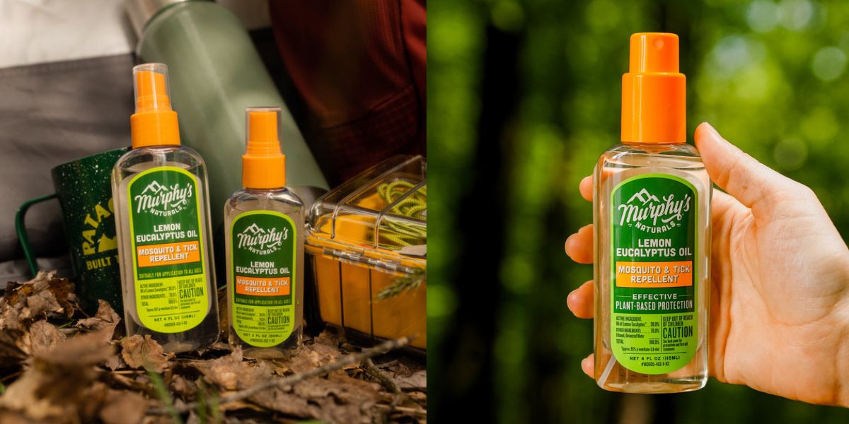 13 Amazing Lemon Eucalyptus Oil Insect Repellent Spray for 2023