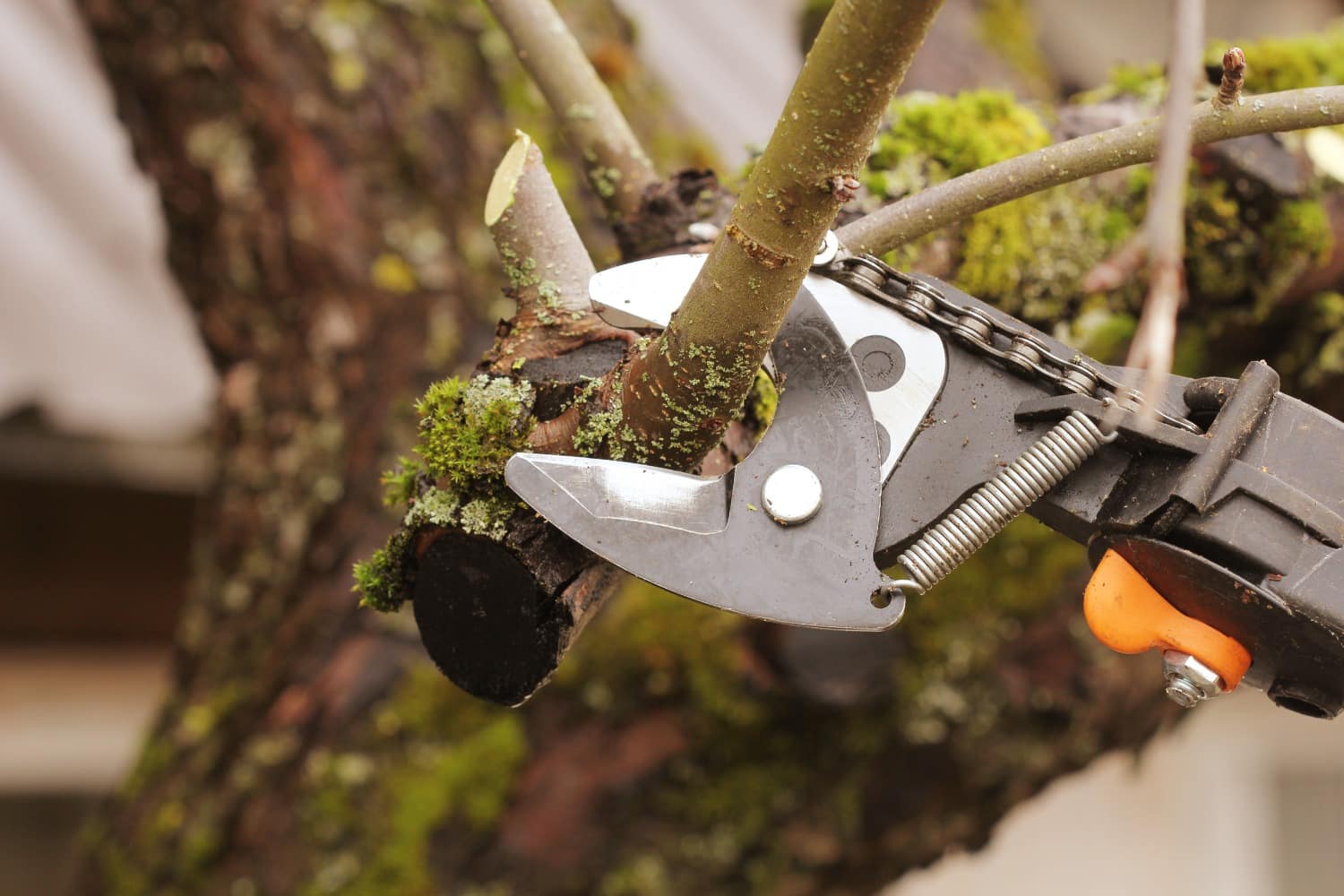 13 Amazing Tools For Landscaping for 2024