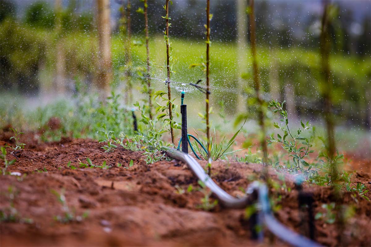 13 Best Micro Drip Irrigation for 2023
