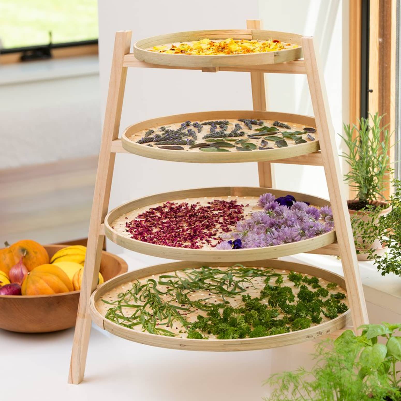 13 Incredible Herb Drying Rack for 2023