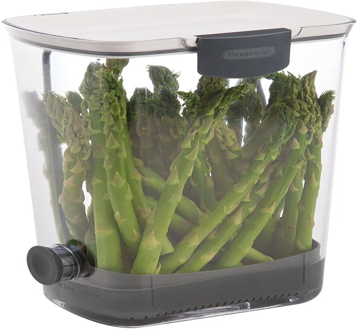 13 Incredible Herb Keeper For Fridge for 2024