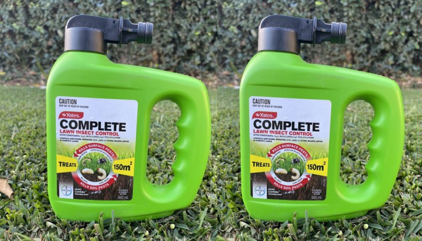 13 Superior Lawn Insect Control for 2024
