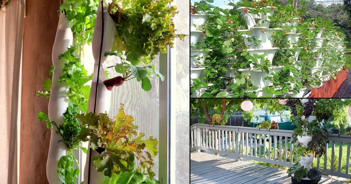 13 Unbelievable Vertical Hydroponics Growing System for 2024
