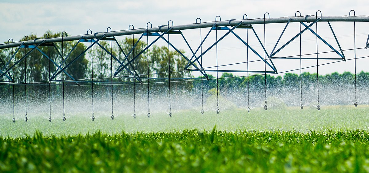 14 Amazing Irrigation Systems for 2023