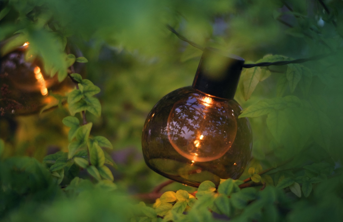 14 Amazing Landscaping Light Bulbs for 2024