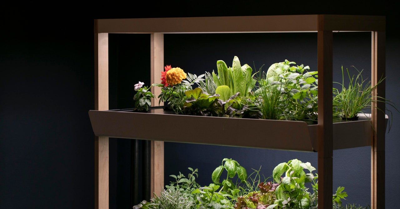 14 Best Indoor Gardening & Hydroponics for 2024