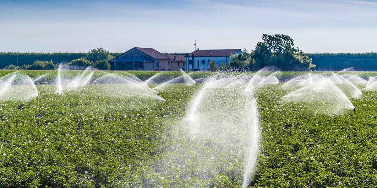 14 Best Water Irrigation System for 2023