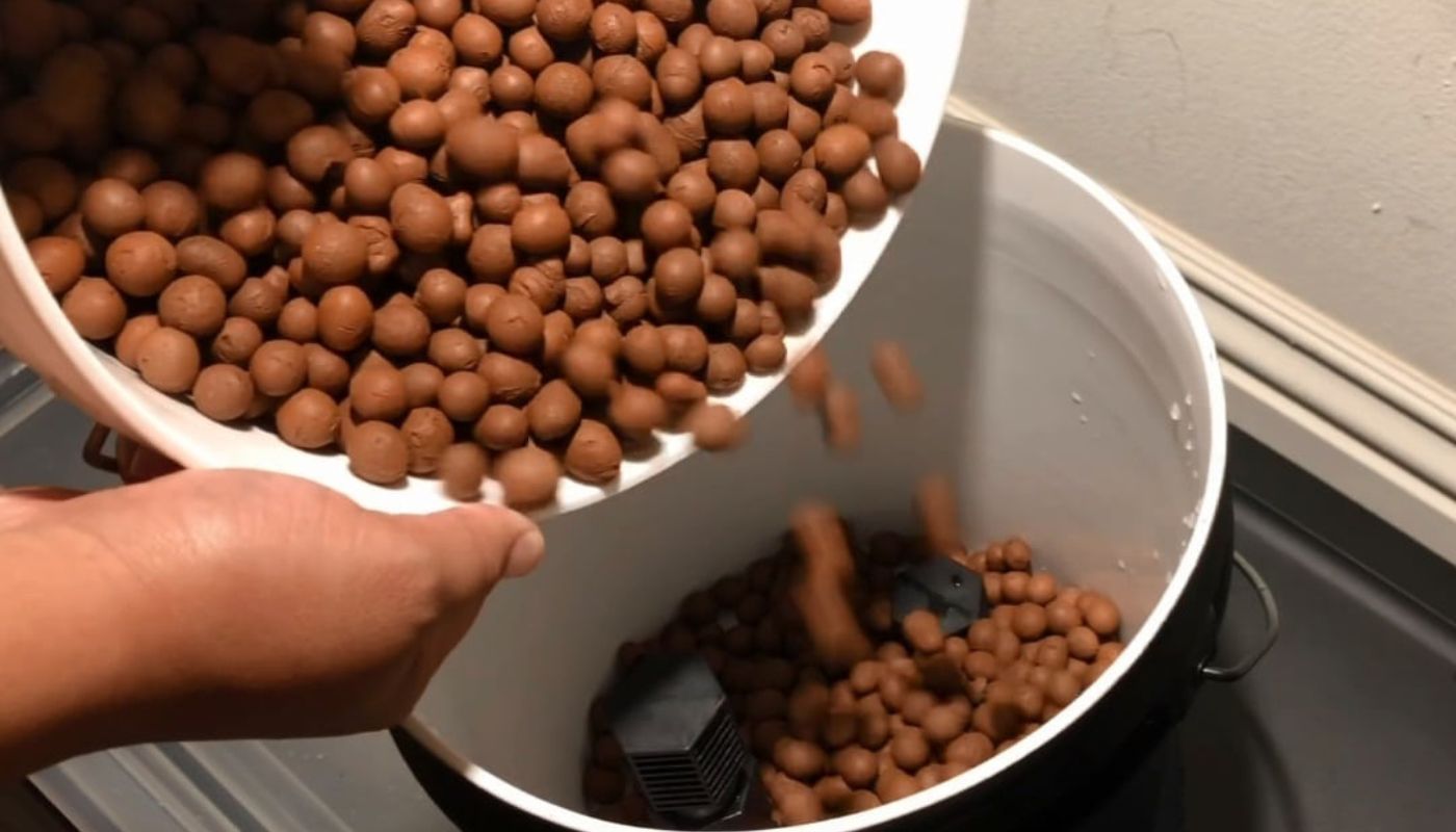 14 Incredible Hydroponics Clay Pebbles for 2024