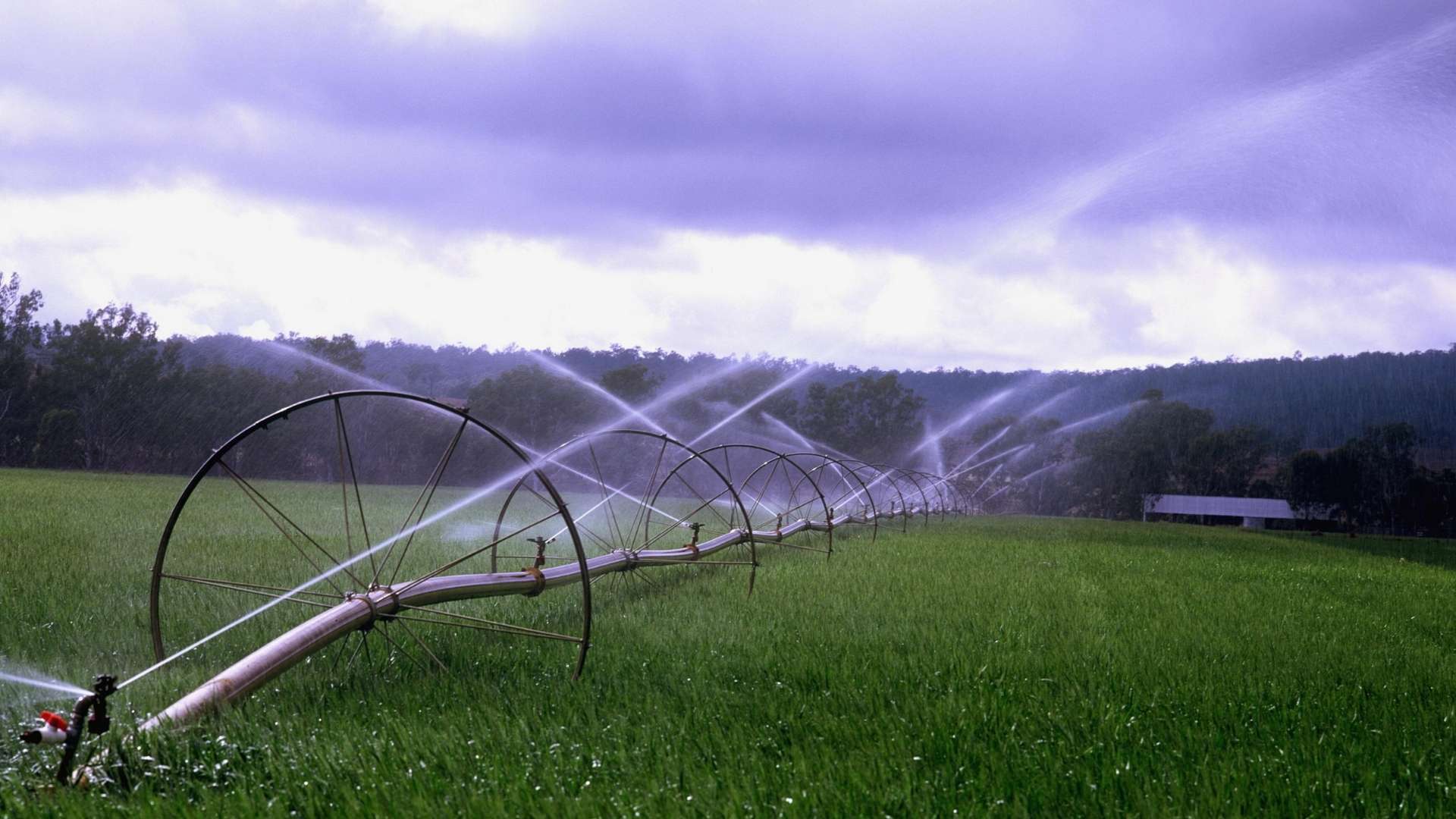 15 Amazing Irrigation System for 2024