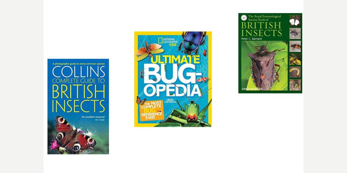 15 Best Insect Books for 2023