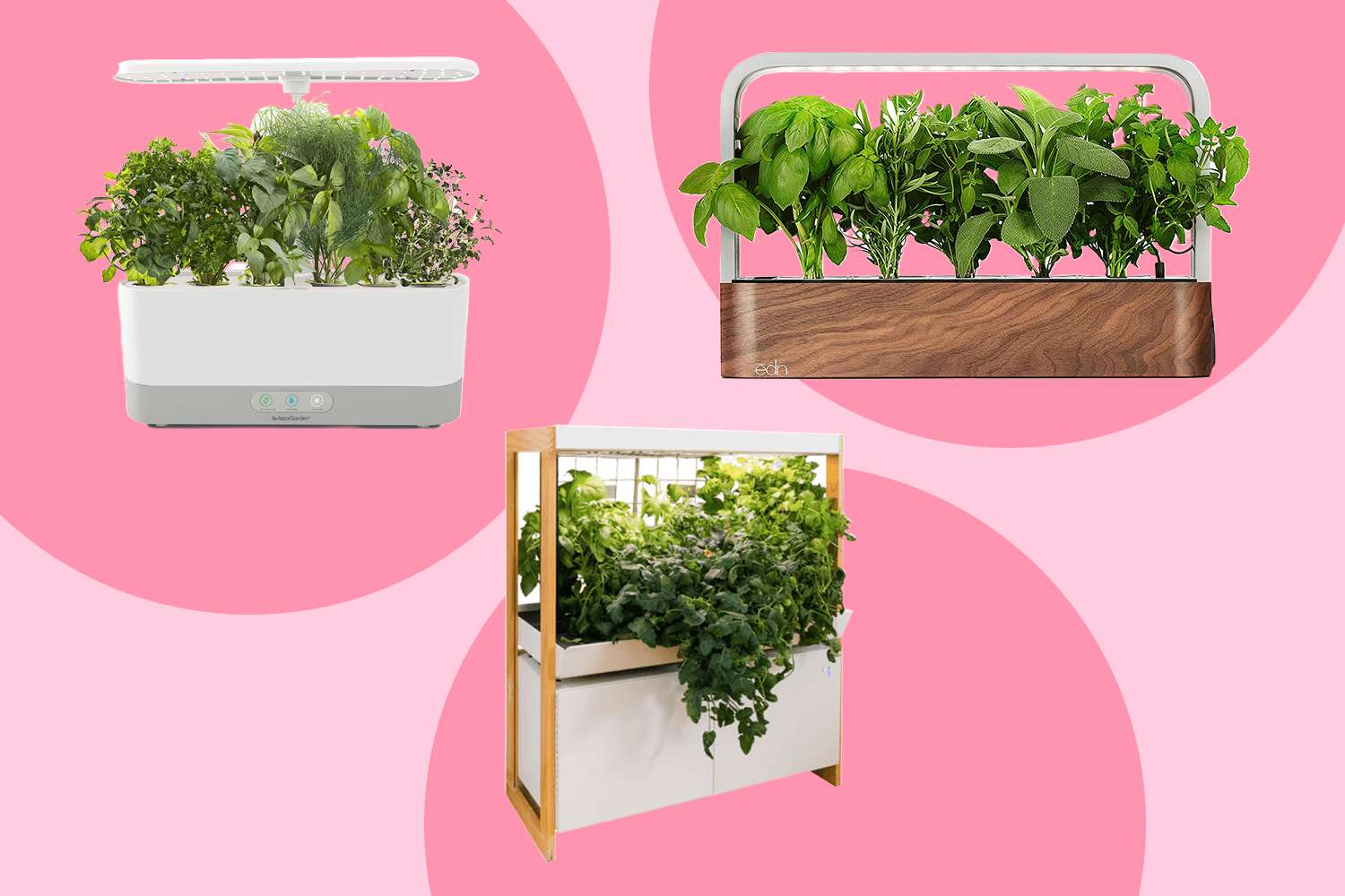 15 Incredible Hydroponics Growing System for 2024