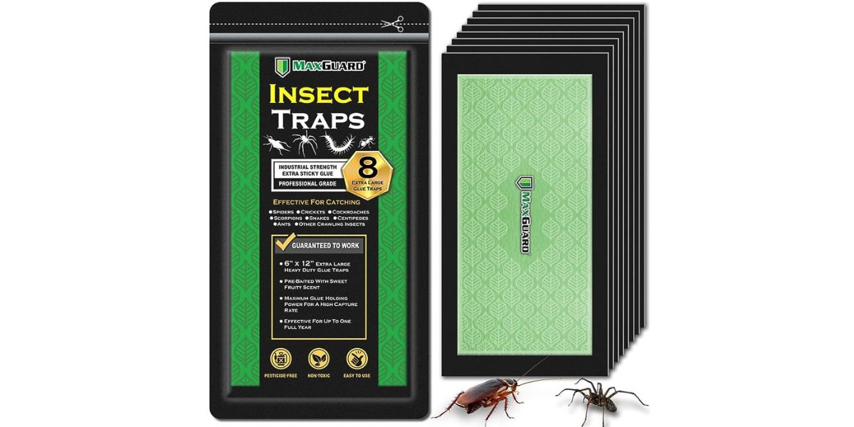 15 Superior Insect Glue Traps for 2024