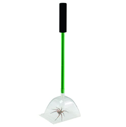 Katcha Acrylic Critter Catcher - Bug Trap with Handle