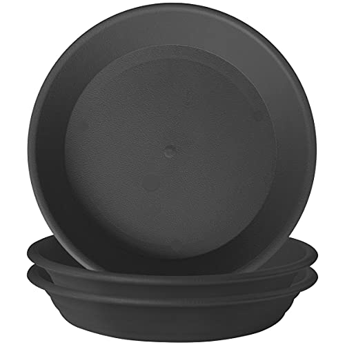 Premium Plastic Plant Saucer Pack of 3