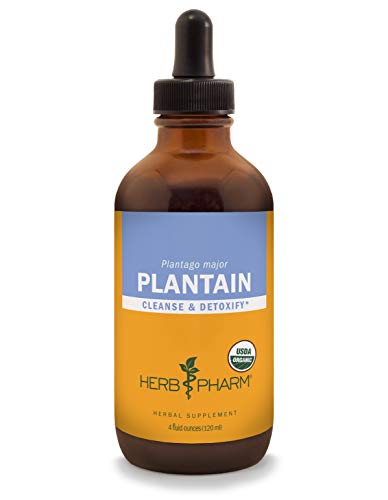 Herb Pharm Organic Plantain Liquid Extract - 4 Ounce
