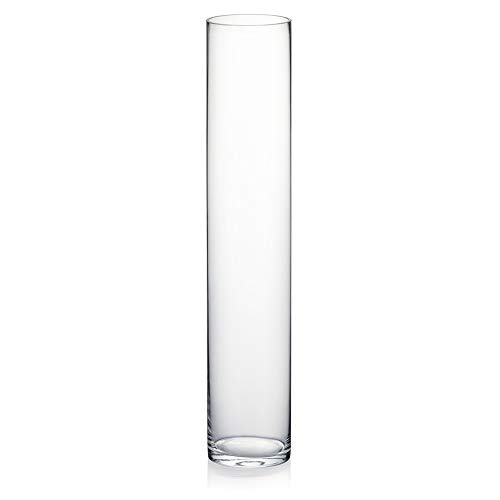 WGV Tall Cylinder Glass Vase - Versatile, Elegant, and Affordable