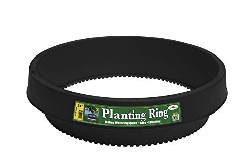 WaterRounds 6 Pack of Planting Rings