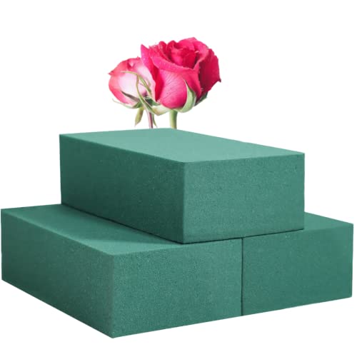 FLOFARE Floral Foam Blocks Pack