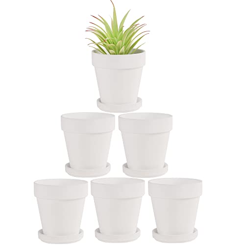 Fcacti Small White Terracotta Pots with Saucer
