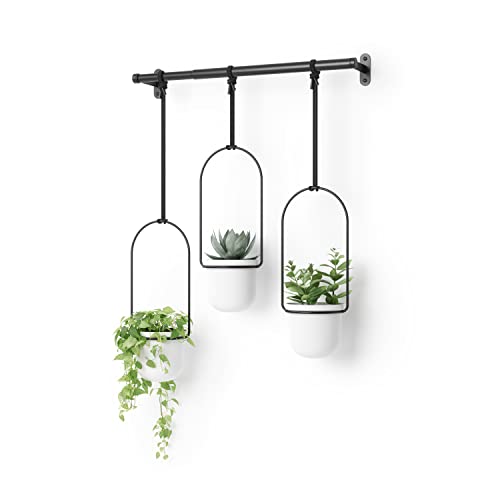 Umbra Triflora Hanging Planter for Window, Indoor Herb Garden