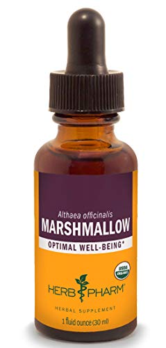 Certified Organic Marshmallow Liquid Extract - 1 Ounce