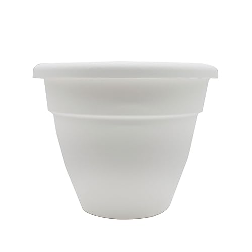 HC Companies 10 Inch Caribbean Planter