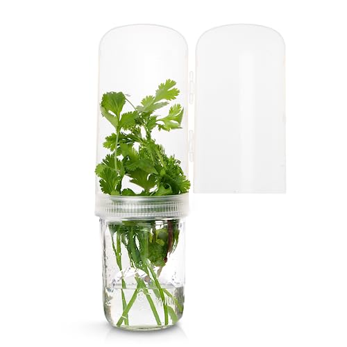 The Herb Angel - Clear Herb Container for Fridge