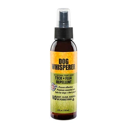 Natural Tick + Flea Repellent for Dogs and Their People