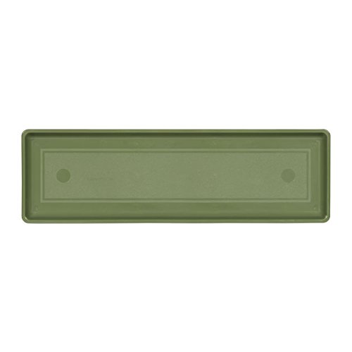 Novelty Sage Flower Box Tray, Medium