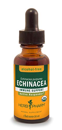 Organic Echinacea Root Liquid Extract