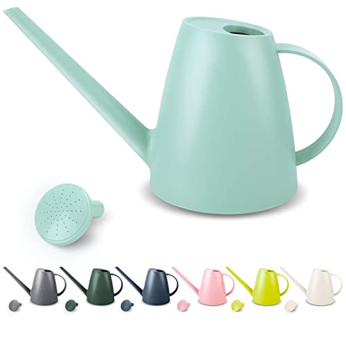 Small Watering Can for Indoor and Outdoor Plants