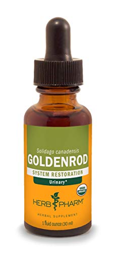 Herb Pharm Goldenrod Liquid Extract for Urinary System Support