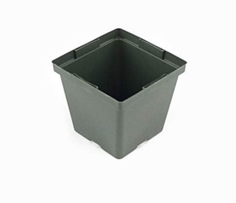 Greenhouse Pots - 4 inch Square - 50 Pack