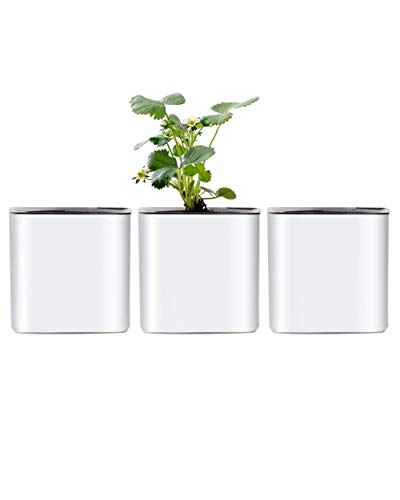 Indoor Self Watering Planter Set