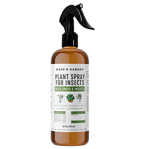 Kate's Garden Plant Spray Bottle for Insects